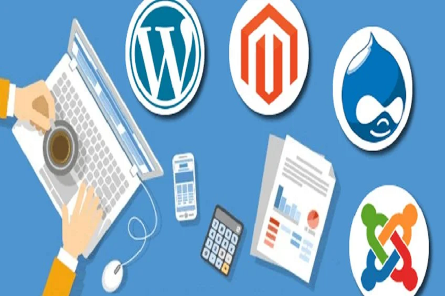 CMS for media companies
